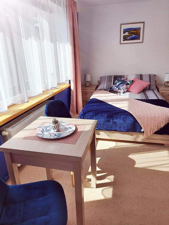 Pokoje Goscinne "Trudzin-Ski" Świeradów-Zdrój Dış mekan fotoğraf
