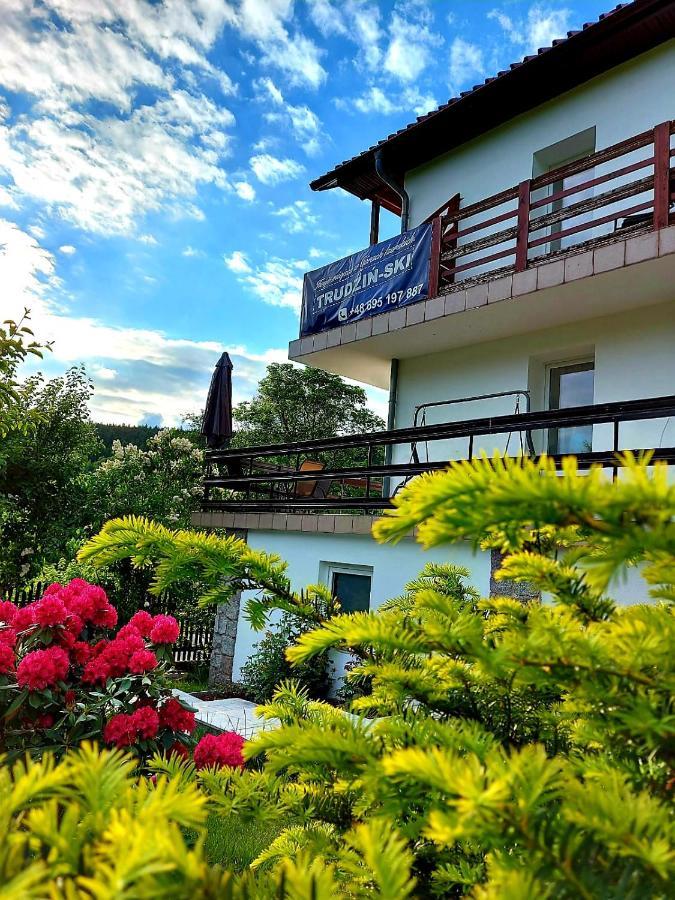 Pokoje Goscinne "Trudzin-Ski" Świeradów-Zdrój Dış mekan fotoğraf