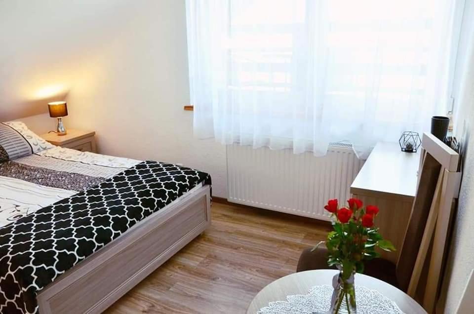 Pokoje Goscinne "Trudzin-Ski" Świeradów-Zdrój Dış mekan fotoğraf